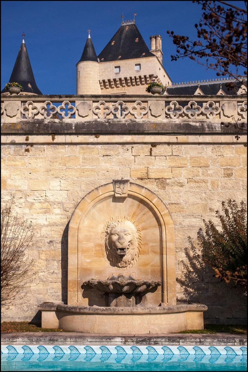 Château de La Rivière Bed and Breakfast La Riviere  Esterno foto